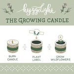 Adelyn Candle - Rosemary - Havlan & West